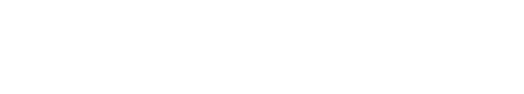 Precision Medical Logo